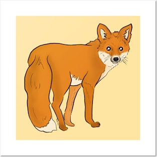 Red fox Posters and Art